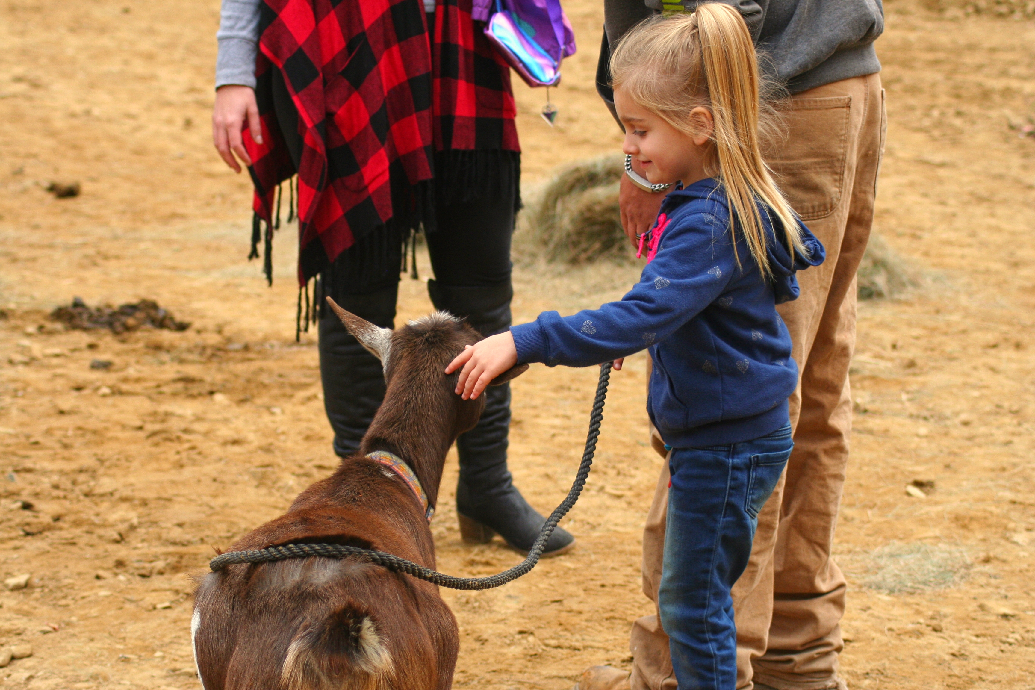 Petting Dixie the goat